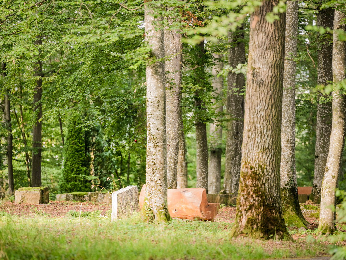 Bergfriedhof Tübingen - Baumbeisetzungshain „Buchengrund“