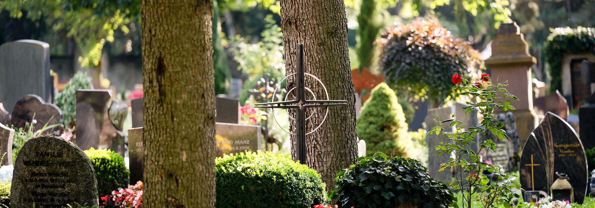Gräbder auf dem Friedhof unter den Linden Reutlingen