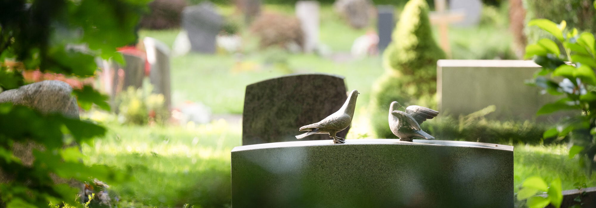 Grabsteine auf dem Bergfriedhof Tübingen
