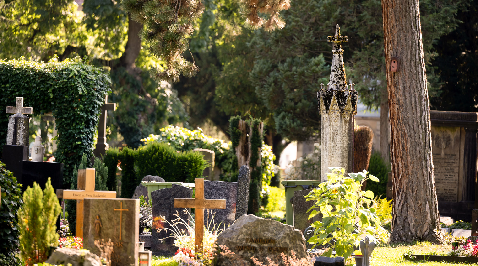 Grabmale auf dem Friedhof unter den Linden Reutlingen